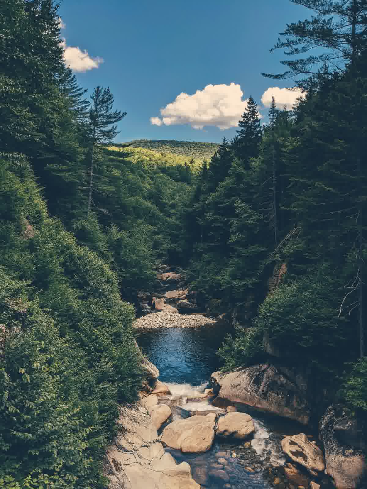 View of trees with a stream and mountains in the background