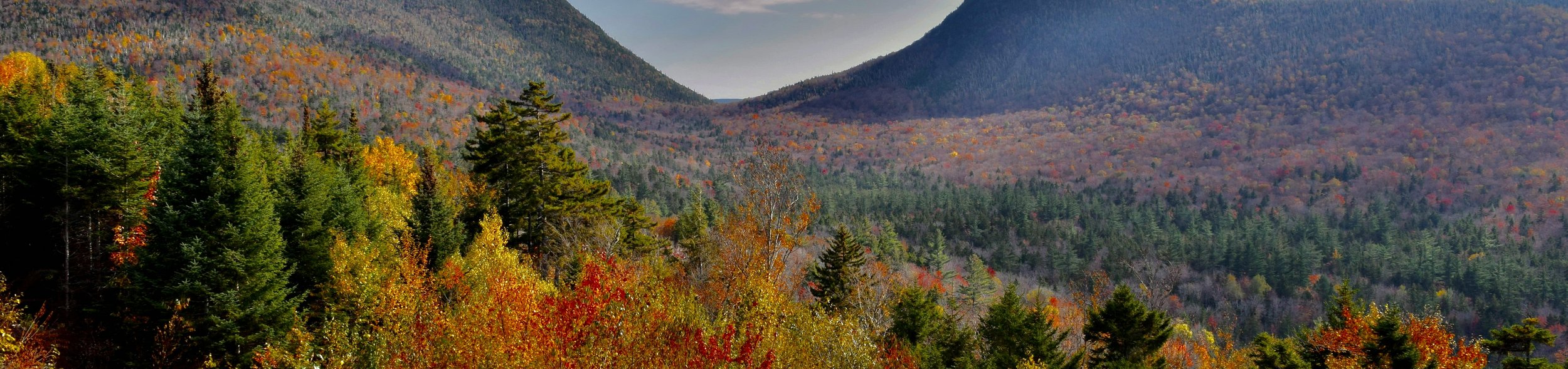 New Hampshire Landscape