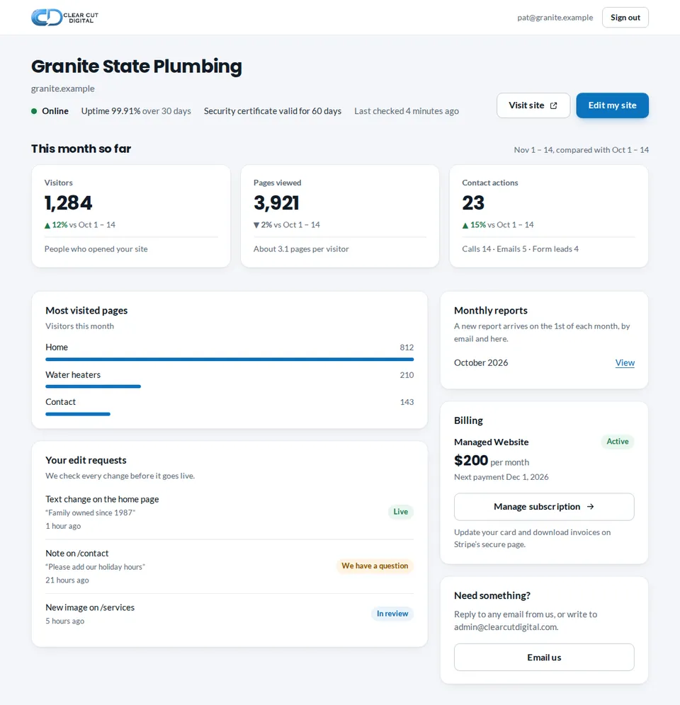 Client portal dashboard showing site status, this month’s numbers, most visited pages, edit requests, monthly reports and billing