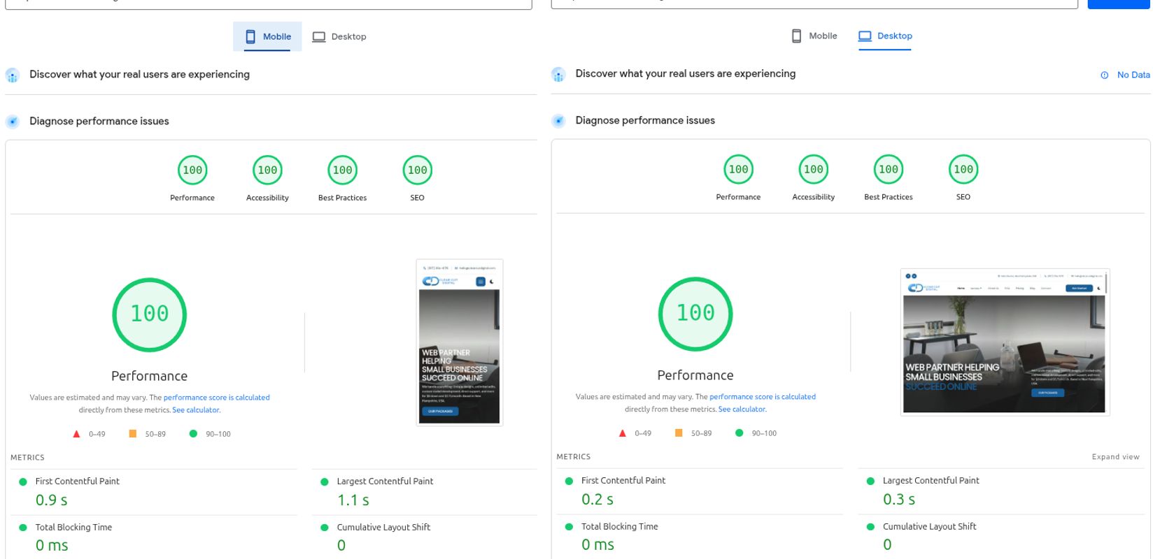 Fast website, flawless performance with 100/100 PageSpeed scores side by side.