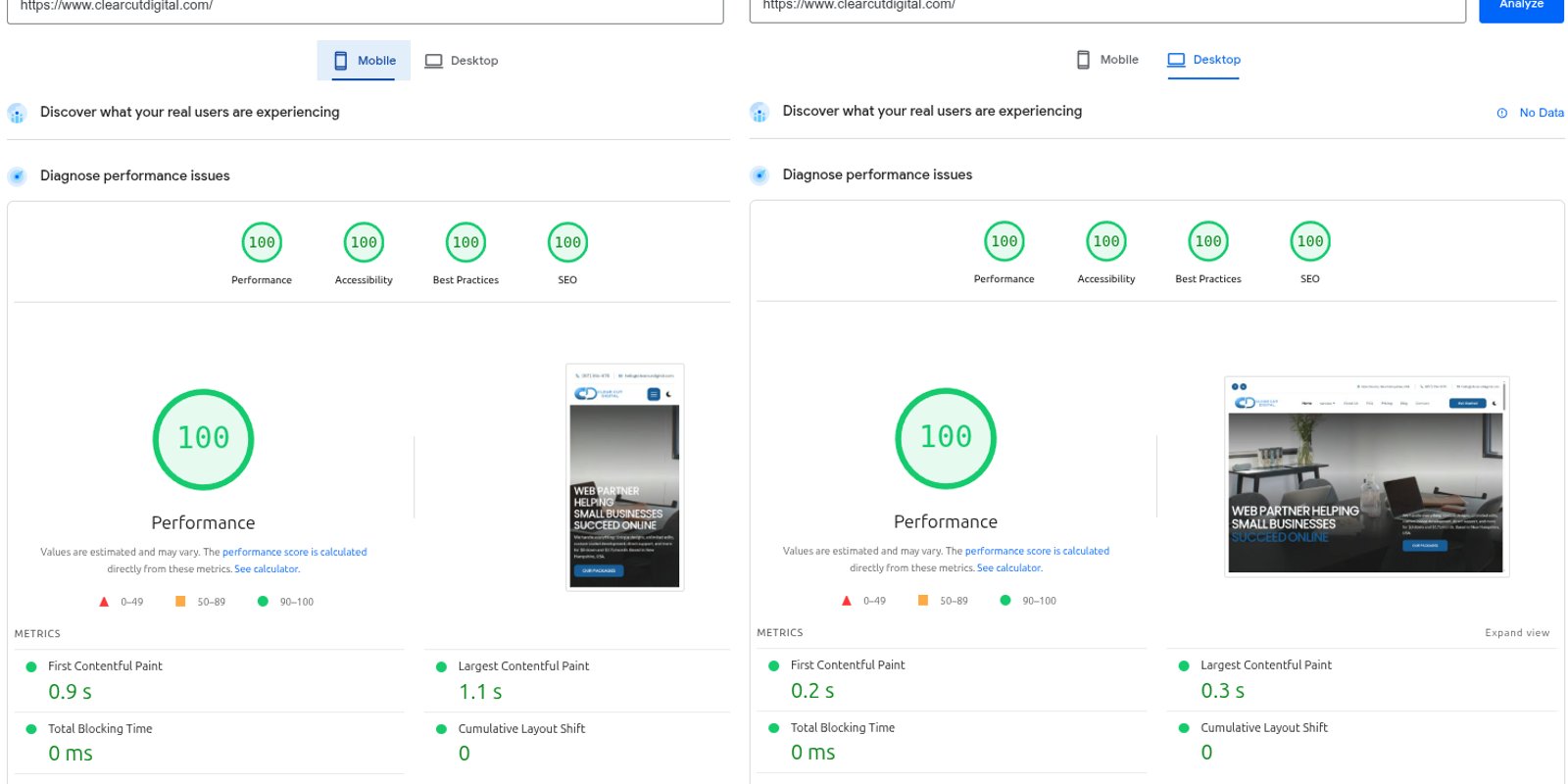 Fast website, flawless performance with 100/100 PageSpeed scores side by side.