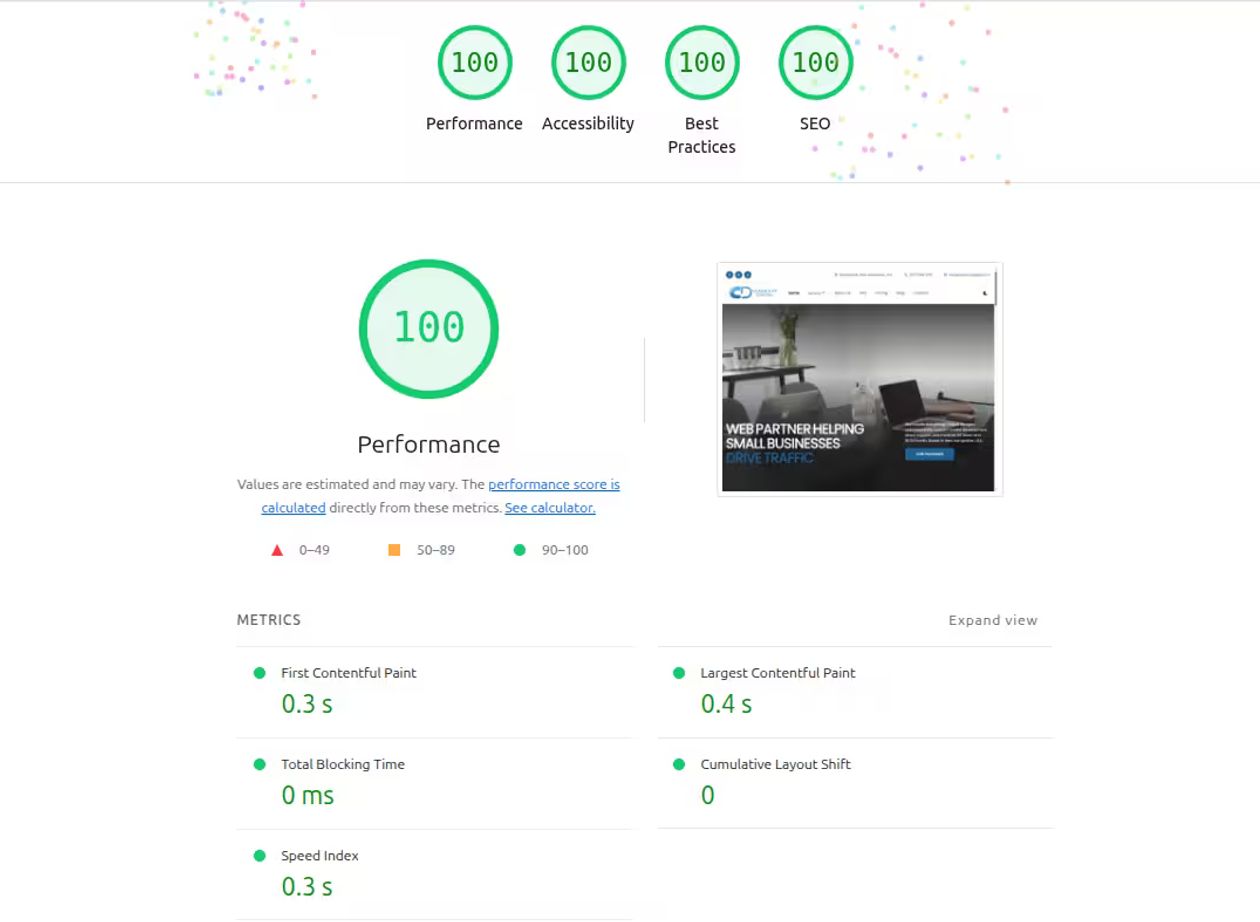 Google PageSpeed Insights performance dashboard showing 100 scores